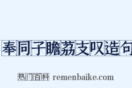 奉同子瞻荔支叹造句是什么意思的图片